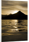 Hallo Bay at Sunset in Katmai National Park by Anonymous