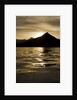 Hallo Bay at Sunset in Katmai National Park by Anonymous