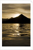 Hallo Bay at Sunset in Katmai National Park by Anonymous