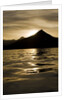 Hallo Bay at Sunset in Katmai National Park by Anonymous