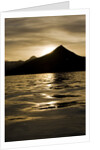 Hallo Bay at Sunset in Katmai National Park by Anonymous