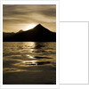 Hallo Bay at Sunset in Katmai National Park by Anonymous