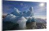 Iceberg Melting Under Summer Sun in Burgerbukta Bay by Anonymous