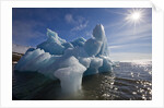 Iceberg Melting Under Summer Sun in Burgerbukta Bay by Anonymous