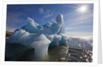 Iceberg Melting Under Summer Sun in Burgerbukta Bay by Anonymous