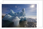 Iceberg Melting Under Summer Sun in Burgerbukta Bay by Anonymous