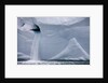 Water Pours From Face of Brasvellbreen Glacier on Nordaustlandet by Anonymous