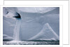 Water Pours From Face of Brasvellbreen Glacier on Nordaustlandet by Anonymous