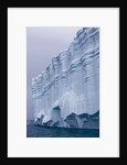 Striated Face of Brasvellbreen Glacier on Nordaustlandet by Anonymous