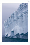 Striated Face of Brasvellbreen Glacier on Nordaustlandet by Anonymous