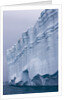 Striated Face of Brasvellbreen Glacier on Nordaustlandet by Anonymous