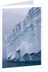 Striated Face of Brasvellbreen Glacier on Nordaustlandet by Anonymous