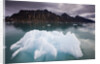 Iceberg Floating in Lilliehook Fjord at Spitsbergen by Anonymous