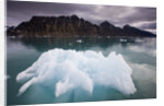 Iceberg Floating in Lilliehook Fjord at Spitsbergen by Anonymous