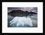 Iceberg Floating in Lilliehook Fjord at Spitsbergen by Anonymous