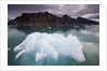 Iceberg Floating in Lilliehook Fjord at Spitsbergen by Anonymous