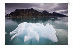 Iceberg Floating in Lilliehook Fjord at Spitsbergen by Anonymous