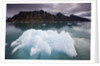 Iceberg Floating in Lilliehook Fjord at Spitsbergen by Anonymous