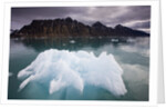 Iceberg Floating in Lilliehook Fjord at Spitsbergen by Anonymous