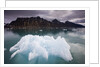 Iceberg Floating in Lilliehook Fjord at Spitsbergen by Anonymous