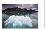 Iceberg Floating in Lilliehook Fjord at Spitsbergen by Anonymous