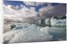 Icebergs Near Sveabreen Glacier in Nordfjorden by Anonymous