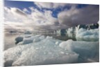 Icebergs Near Sveabreen Glacier in Nordfjorden by Anonymous