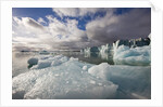 Icebergs Near Sveabreen Glacier in Nordfjorden by Anonymous