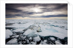 Storm Clouds Above Pack Ice in Habenichtbukta Bay by Anonymous