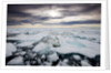 Storm Clouds Above Pack Ice in Habenichtbukta Bay by Anonymous