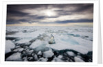 Storm Clouds Above Pack Ice in Habenichtbukta Bay by Anonymous