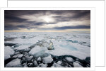 Storm Clouds Above Pack Ice in Habenichtbukta Bay by Anonymous