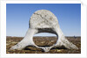 Whale Vertebrae on Tundra in Tusenoyane Archipelago by Anonymous