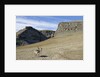 Reindeer Grazing on Tundra on Edgeoya Island by Anonymous