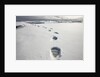 Polar Bear Tracks in Fresh Snow at Spitsbergen Island by Anonymous