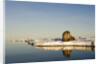 Walrus on Iceberg Near Kapp Lee in Midnight Sun by Anonymous