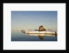 Walrus on Iceberg Near Kapp Lee in Midnight Sun by Anonymous