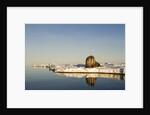 Walrus on Iceberg Near Kapp Lee in Midnight Sun by Anonymous