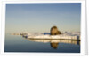 Walrus on Iceberg Near Kapp Lee in Midnight Sun by Anonymous