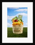 Bushel Full of Organic Fruits and Vegetables by Anonymous