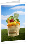 Bushel Full of Organic Fruits and Vegetables by Anonymous