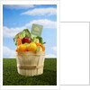 Bushel Full of Organic Fruits and Vegetables by Anonymous