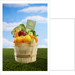 Bushel Full of Organic Fruits and Vegetables by Anonymous