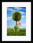 Miniature Tree in Pot by Anonymous