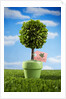 Miniature Tree in Pot by Anonymous