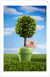Miniature Tree in Pot by Anonymous