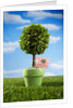 Miniature Tree in Pot by Anonymous