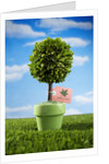 Miniature Tree in Pot by Anonymous