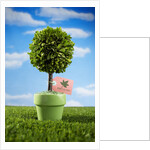Miniature Tree in Pot by Anonymous