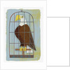 Bald Eagle Confined in Small Cage by Anonymous
